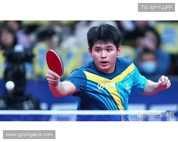 南京乒乓球队总决赛精彩回顾速度表现引发热议与期待