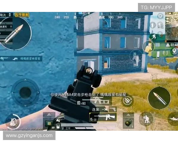 和平精英战术揭秘：深入分析WE战队的制胜之道与策略解析