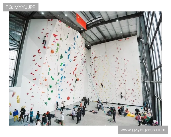 武汉攀岩队在全国攀岩团队协作排行榜中荣获第十名的佳绩