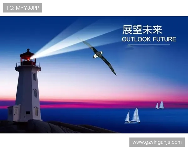 西安飞盘队的转型之路与未来展望全面解析 西安飞盘队的转型之路与未来展望全面解析