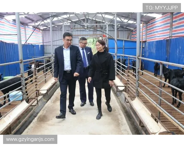 哈银行与农商行的竞争与发展趋势分析探讨