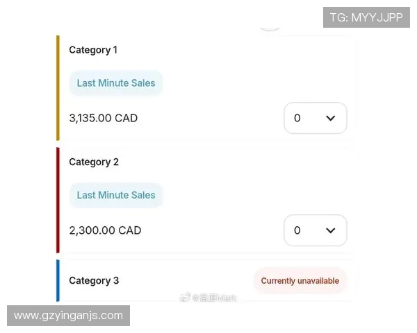 欧冠门票系统故障数万球迷排队长达12小时争抢梦寐以求的门票